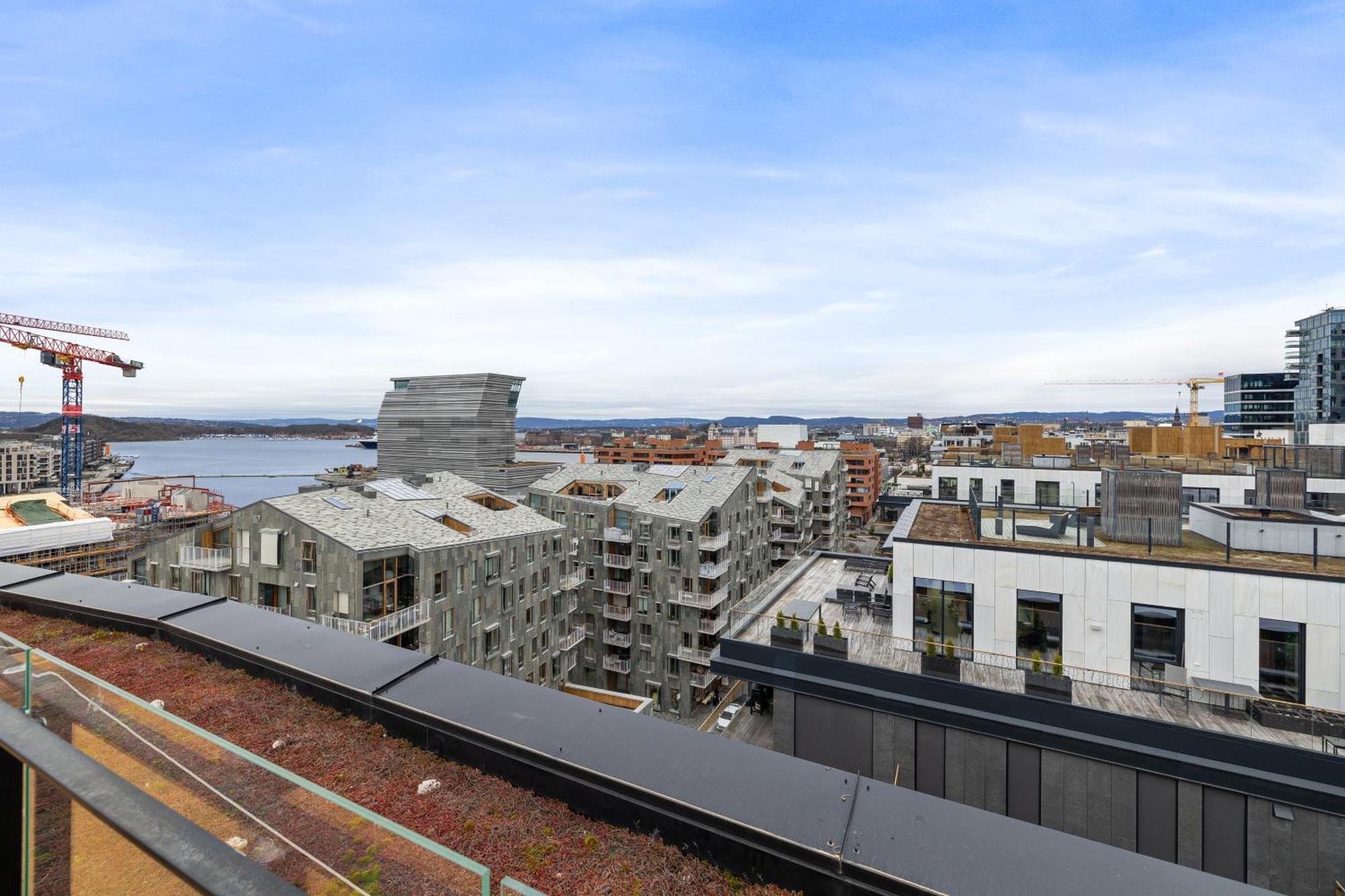 Attractive Location By The Sea In The Center Of Oslo Lejlighed Eksteriør billede
